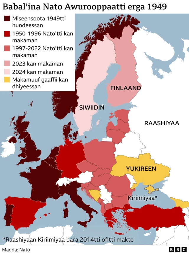 Biyyoota miseensaa fi miseensummaaf gaaffii dhiyeessan 