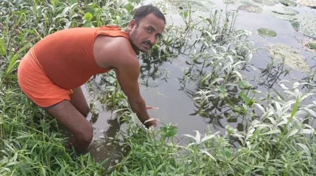 ਮਖਾਣੇ ਦੀ ਖੇਤੀ ਕਰਦਾ ਕਿਸਾਨ 