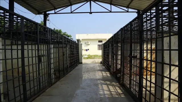 మంచిర్యాల జంతు సంరక్షణ కేంద్రం