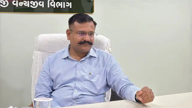 ગીરના સિંહો, ગીરનાં જંગલો, બીબીસી ગુજરાતી, Gir Lion, Gir , 