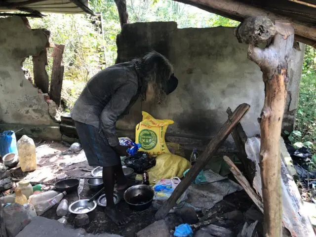 இலங்கை, விடுதலை புலிகள்