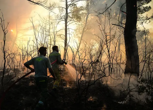 4 Temmuz'da İzmir Buca'da yangına müdahale eden ekipler. Bir kişi hortumla ormana doğru su tutarken diğer kişi arkadan yardım ediyor. 