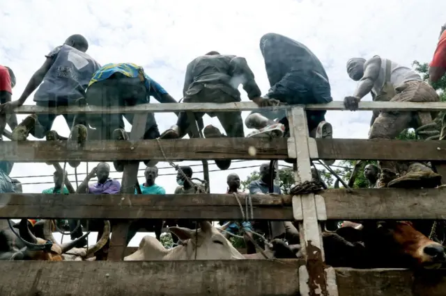 Du bétail embarqué dans des camions au marché aux bestiaux de Port-Bouet à Abidjan le 18 juillet 2021, à la veille de l'Aïd al-Adha, la fête musulmane du sacrifice.