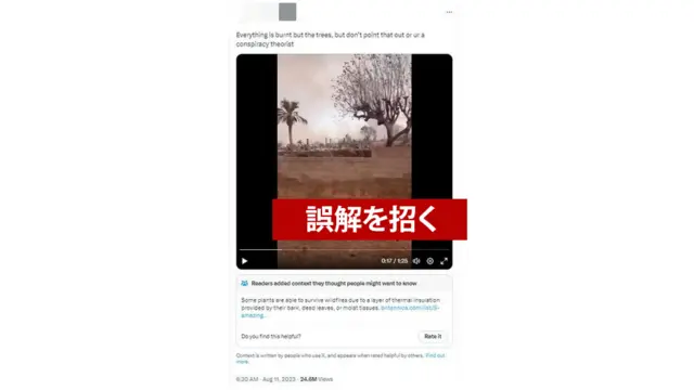 植物の中には耐火性が高く、山火事を生き延びる種類もある