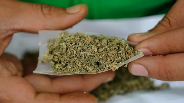 La marihuana es la principal droga de inicio de los adolescentes mexicanos.