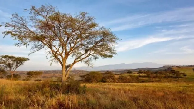 Wawili hao walikamatwa wakizuru mbuga ya wanyama pori ya Queen Elizabeth National Park