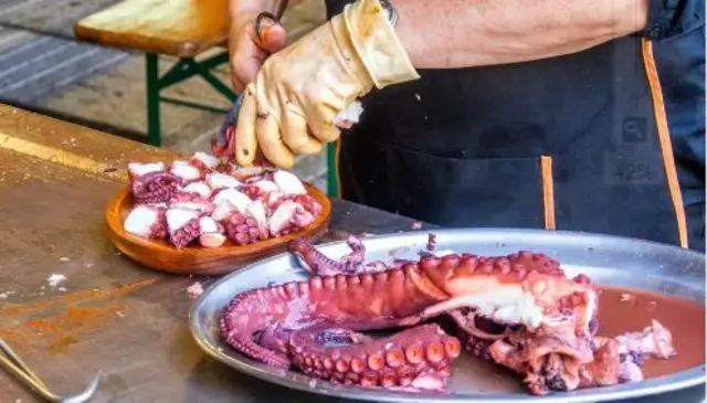 ప్రపంచంలోనే తొలిసారిగా ఆక్టోపస్ల సాగు