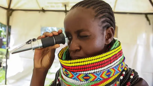 Mai kula da kudan zuma a Kenyan, rike da na'urar gane ingantacciyar zuma. An yi mata kitso, kuma sanye da tufafin gargajiya na 'yan Kenya, ta na leka na'urar da ido daya.