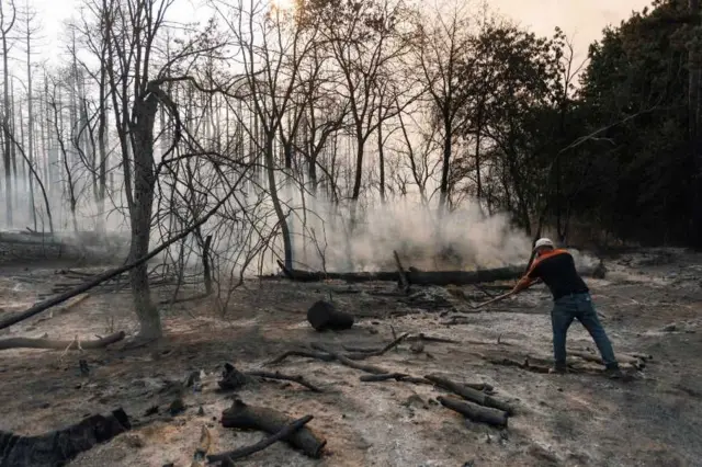 Izgorela šuma i čovek kako gasi
