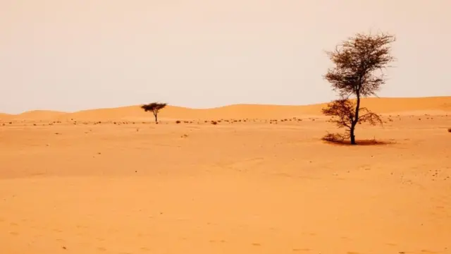 Ao sul do Deserto do Saara, o Sahel é altamente vulnerável à desertificação