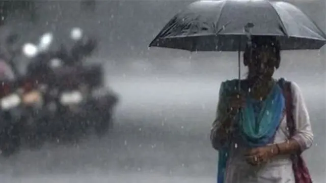 மடையில் குடைபிடித்து செல்லும் பெண்