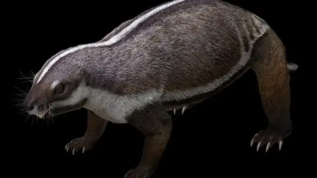 டைனோசர்கள் காலத்தில் வாழ்ந்த "கிறுக்குத்தனமான மிருகம்" கண்டுபிடிப்பு