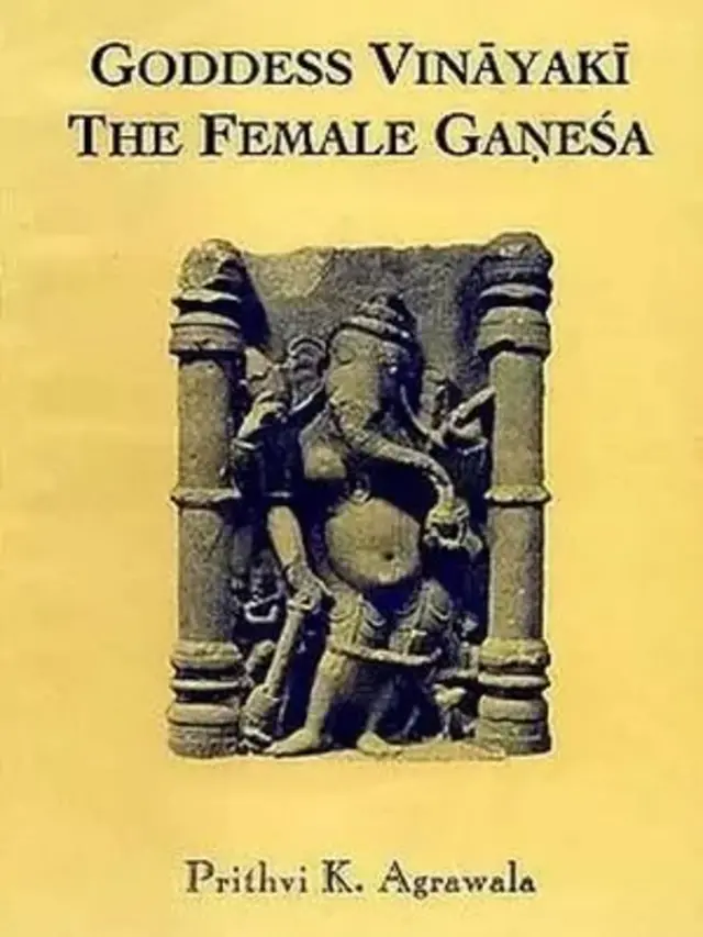 पी. के. अग्रवाल