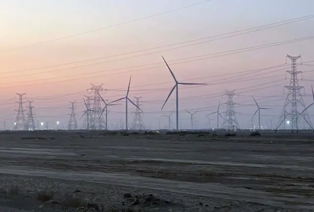 ગુજરાત અને રાજસ્થાનમાં વિલુપ્તીના આરે ઊભેલાં ઘોરાડ પક્ષીઓ માટે સુપ્રીમ કોર્ટે શું ચુકાદો આપ્યો, ફરિયાદીને શું ચિંતા છે? બીબીસી ગુજરાતી ગુજરાત સમાચાર કચ્છ સૌરાષ્ટ્ર