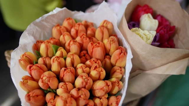 Тюлпанды тандайбы же розага ыктайбы деп эле баш катырган жигиттер...