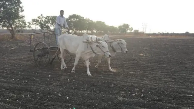 తెలంగాణ, రైతు భరోసా, రైతు బంధు