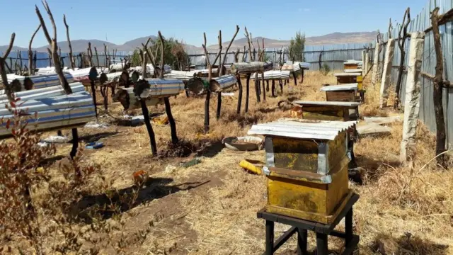 Sanduuqyada ay shinnida ugu jiraan