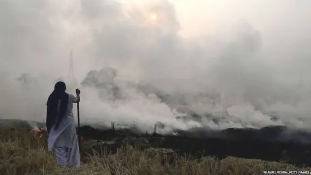 ਪੰਜਾਬ 'ਚ ਸਖ਼ਤੀ ਦੇ ਬਾਵਜੂਦ ਪਰਾਲੀ ਨੂੰ ਸਾੜਨ ਦੇ ਰੁਝਾਨ 'ਚ ਵਾਧਾ