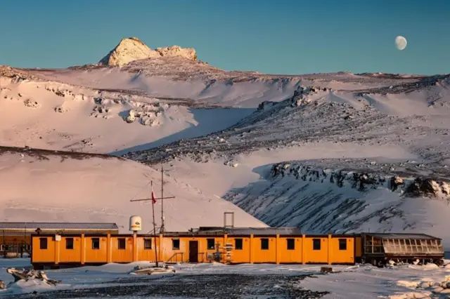 سائنسدانوں کو ڈینس کی باقیات ہینریک آرکٹوسکی پولش انٹارکٹک اسٹیشن سے ملی ہیں