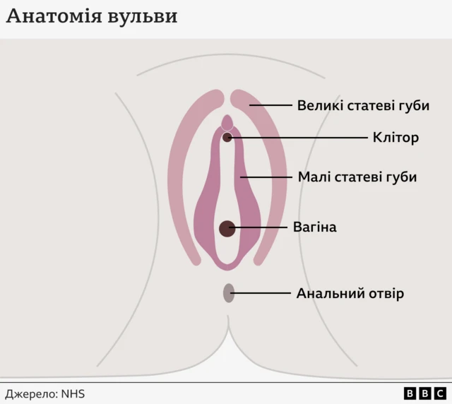 Аналоги: Моксетеро таблетки покрытые оболочкой мг №10 | Аптека «Бажаємо здоров'я»