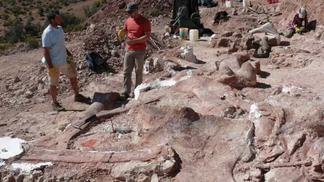 Una excavación paleontológica en la Patagonia