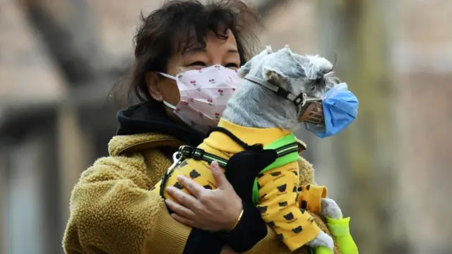 ਚੀਨ ਵਿੱਚ ਸ਼ੀਜਿਆਹੁਆਂਗ ਵਿੱਚ ਇੱਕ ਔਰਤ ਆਪਣੇ ਕੁੱਤੇ ਦੇ ਮਾਸਕ ਪਾ ਕੇ ਲਿਜਾਂਦੀ ਹੋਈ