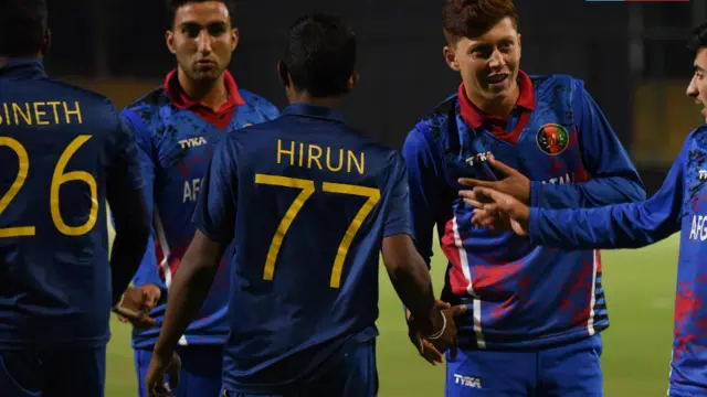 Cricket 