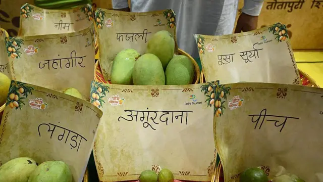 मैंगो फ़ेस्टिवल