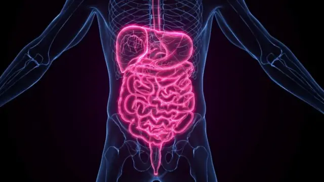 શરીરના એક ભાગનું વૃદ્ધત્વ બીજા હિસ્સાને પણ પોતાની સાથે તાણી શકે છે