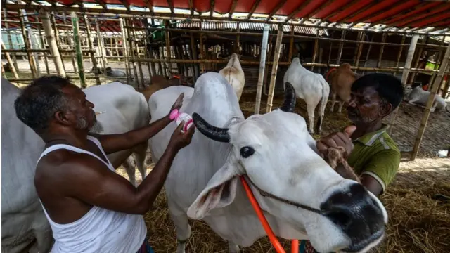 করোনার কারণে অনেক ক্রেতাই হাটে গিয়ে গরু কিনতে আগ্রহ হারাচ্ছেন।