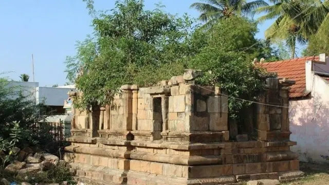 பெண்கள் குழு