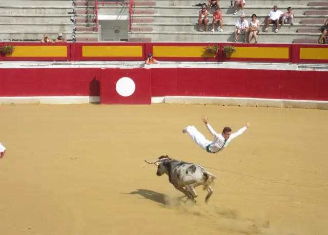 رجل يقفز فوق ثور