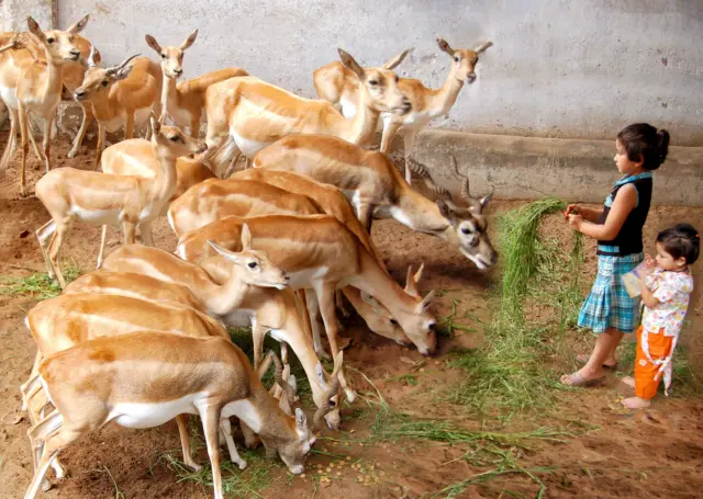 ઝવેરીલાલ મહેતા 