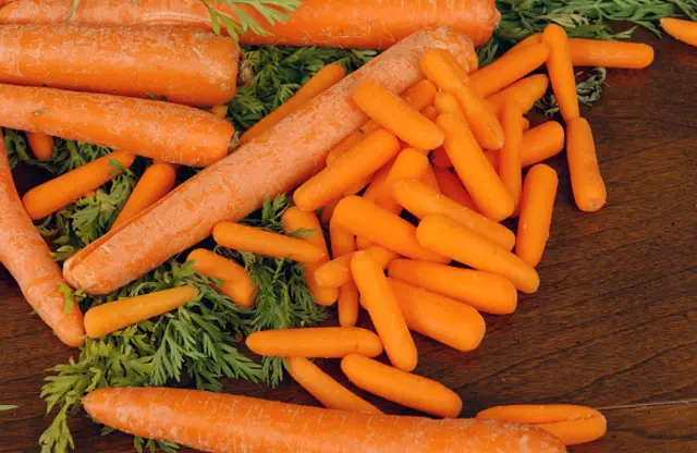 క్యారట్