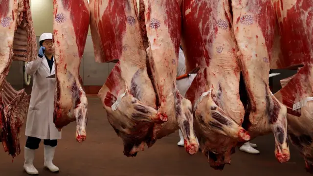 Carnicero japonés inspeccionando reses de variedad Wagyu.