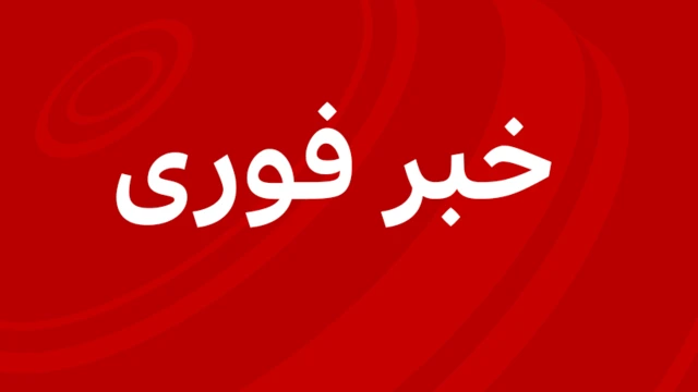 خبر فوری
