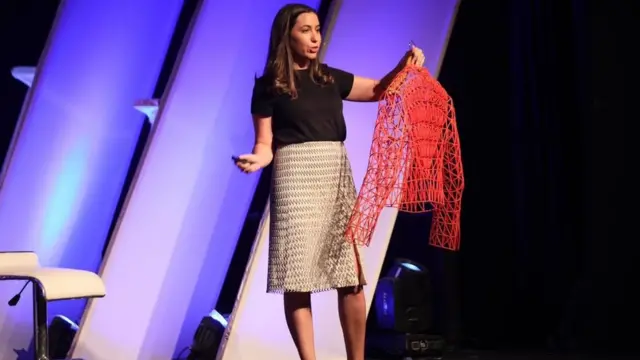 डिज़ाइनर दनित पेलेग