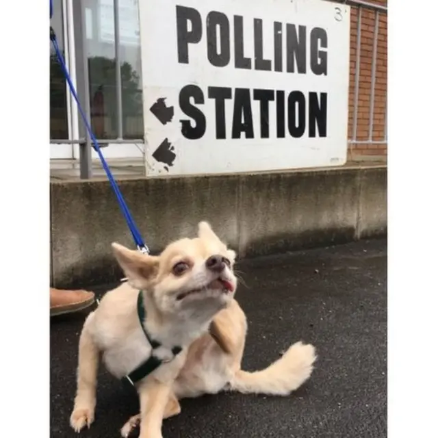 நாட்டிங்காமில் வாக்குச்சாவடியின் வெளியே காத்திருந்த ஹுகோ