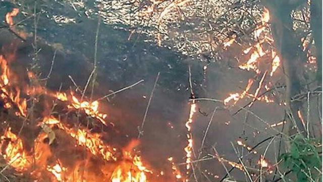 पाटन ज़िले के वडावली गांव में हिंसा के दौरान लगाई गई आग