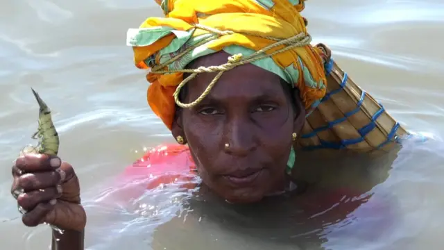 ஆபத்தை அறியாமல் கைகளால் இறால் பிடிக்கும் கடற்கரை பெண்களின் அவலம்