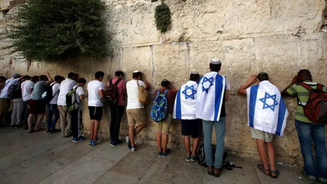 వెయిల్డ్ వాల్