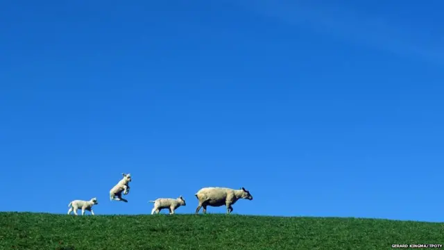 ਅਜ਼ਾਦੀ ਦੇ ਪਲ/ Time of freedom