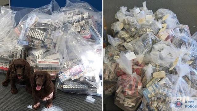 Pembrokeshire dogs sniff out thousands of illegal cigarettes - BBC