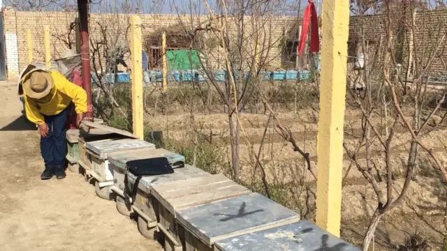 بلخ