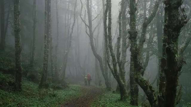 俄勒岡海岸步道