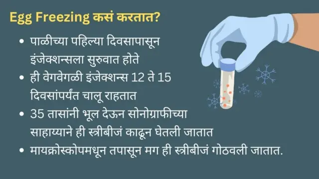 स्त्रीबीजं 