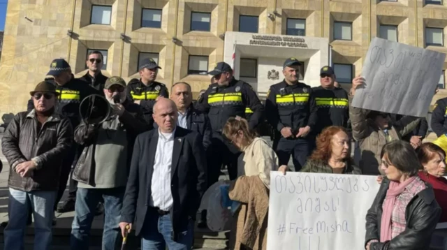 20-ноябрда мурдагы президент Саакашвилинин жакындары, оппозиция өкүлдөрү жана анын бир катар тарапкерлери аны чет өлкөдө дарылануу үчүн жөнөтүү талабын билдиришип, өкмөт кеңсесинин маңдайында нааразылык чарасын уюштурушту