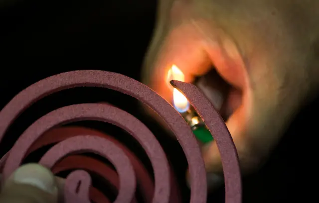 உலக கொசு தினம்