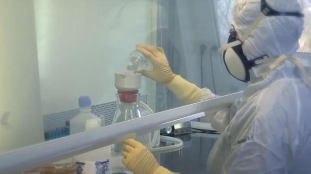 Desinfecçãoaplicativo de jogo blazeovos e larvas na empresa BioMonde