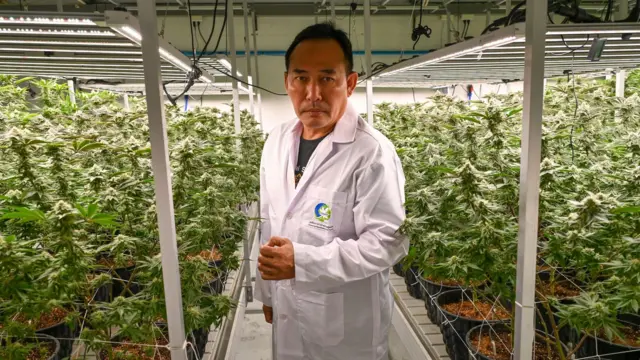 Panumas Sanguanwong/Thai News Pix